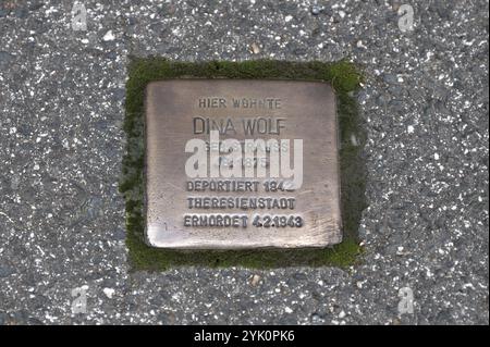 Stolperstein, Erinnerung an jüdische Mitbürger, die während der NS-Zeit vom Nationalsozialismus verfolgt, ermordet und deportiert wurden, Schnaitta Stockfoto