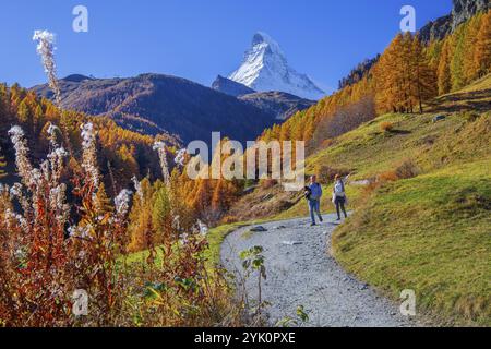 Herbstlandschaft mit Wanderweg und Matterhorn 4478m mit goldgelben Lärchen, Zermatt, Mattertal, Wallis, Schweiz, Europa Stockfoto