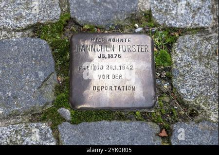 Stolperstein, Erinnerung an jüdische Mitbürger, die während der NS-Zeit vom Nationalsozialismus verfolgt, ermordet und deportiert wurden, Schnaitta Stockfoto