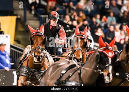 Stuttgart, Deutschland. November 2024. Voutaz Jerome, Schweiz FEI Driving World Cup MASTERHORSE DEUTSCHER MEISTER Zeit-Hindernisfahren Vierspaenner mit 2 Umlaeufen Wertungspruefung für den Weltcup Fahren 2024/2025 International GER, Stuttgart German Masters 2024, 38. internationales Reitturnier, 16.11.2024 Foto: Eibner-Pressefoto/Roger Buerke Credit: dpa/Alamy Live News Stockfoto