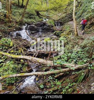 Wanderer in der Hoelzbachklamm mit kleinem Wasserfall, Gemeinde Morbach, Rheinland-Pfalz, Hunsrück, Deutschland, Europa Stockfoto