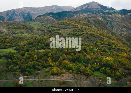 Blick aus der Vogelperspektive über den Wald. Bunte Bäume im Wald. Farbenfrohe Herbstfarben in Waldform oben. Hochwertige Fotos Stockfoto