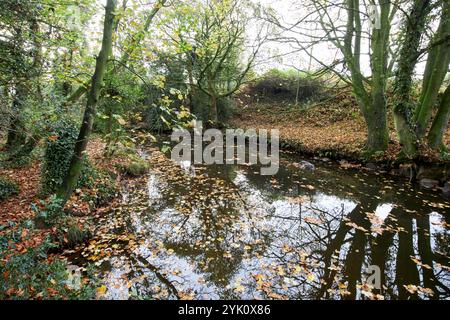 crumlin River fließt durch crumlin glen, crumlin, County antrim, Nordirland Stockfoto