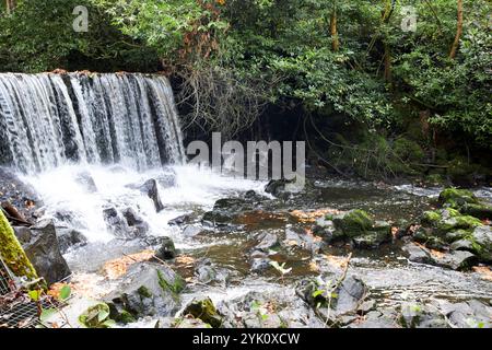 weir am crumlin River, der durch crumlin glen, crumlin, County antrim, Nordirland fließt Stockfoto