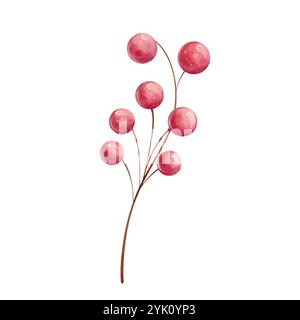 aquarellweihnachtszweig mit roten Beeren, Johannisbeeren auf Zweig ohne Blätter Illustration, isoliert Stock Vektor