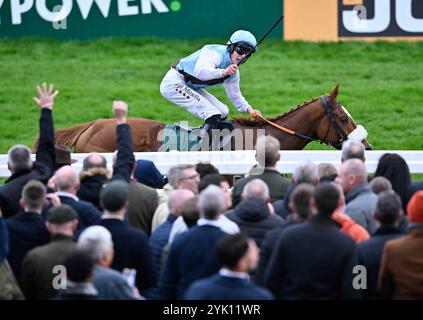 Cheltenham, Großbritannien. November 2024. Hamsiyann, geritten von Daniel King, gewinnt 3,30 die Paddy Power Intermediate Handicap Hürde auf der Cheltenham Racecourse, Cheltenham Picture by Paul Blake/Alamy Images 11/2024 Stockfoto