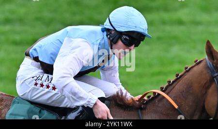 Cheltenham, Großbritannien. November 2024. Hamsiyann, geritten von Daniel King, gewinnt 3,30 die Paddy Power Intermediate Handicap Hürde auf der Cheltenham Racecourse, Cheltenham Picture by Paul Blake/Alamy Images 11/2024 Stockfoto