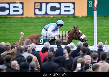 Cheltenham, Großbritannien. November 2024. Hamsiyann, geritten von Daniel King, gewinnt 3,30 die Paddy Power Intermediate Handicap Hürde auf der Cheltenham Racecourse, Cheltenham Picture by Paul Blake/Alamy Images 11/2024 Stockfoto