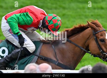 Cheltenham, Großbritannien. November 2024. Doyen Quest Ridden by Harry Skelton gewinnt 2,55 aus der Pferdemündung Podcast Handicap Hürde auf der Cheltenham Racecourse, Cheltenham Picture by Paul Blake/Alamy Images 16/11/2024 Stockfoto