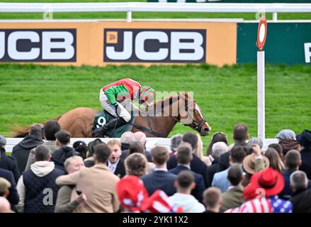 Cheltenham, Großbritannien. November 2024. Doyen Quest Ridden by Harry Skelton gewinnt 2,55 aus der Pferdemündung Podcast Handicap Hürde auf der Cheltenham Racecourse, Cheltenham Picture by Paul Blake/Alamy Images 16/11/2024 Stockfoto