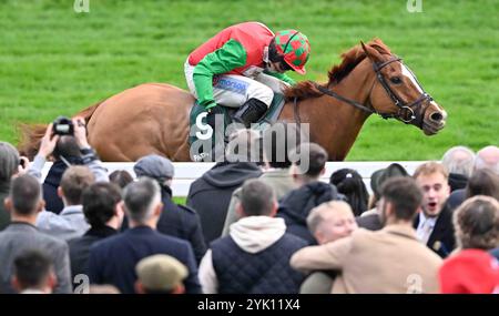 Cheltenham, Großbritannien. November 2024. Doyen Quest Ridden by Harry Skelton gewinnt 2,55 aus der Pferdemündung Podcast Handicap Hürde auf der Cheltenham Racecourse, Cheltenham Picture by Paul Blake/Alamy Images 16/11/2024 Stockfoto