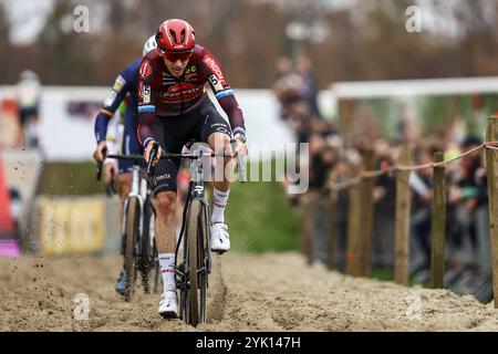 Merksplas, Belgien. November 2024. Der belgische Michael Vanthourenhout wurde während des Herrenrennens der Superprestige Merksplas Cyclocross-Veranstaltung, der vierten Etappe (4/8) des Superprestige Cyclocross-Wettkampfes, am Samstag, den 16. November 2024, in Merksplas gezeigt. BELGA FOTO DAVID PINTENS Credit: Belga News Agency/Alamy Live News Stockfoto
