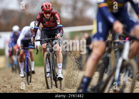 Merksplas, Belgien. November 2024. Der belgische Michael Vanthourenhout wurde während des Herrenrennens der Superprestige Merksplas Cyclocross-Veranstaltung, der vierten Etappe (4/8) des Superprestige Cyclocross-Wettkampfes, am Samstag, den 16. November 2024, in Merksplas gezeigt. BELGA FOTO DAVID PINTENS Credit: Belga News Agency/Alamy Live News Stockfoto