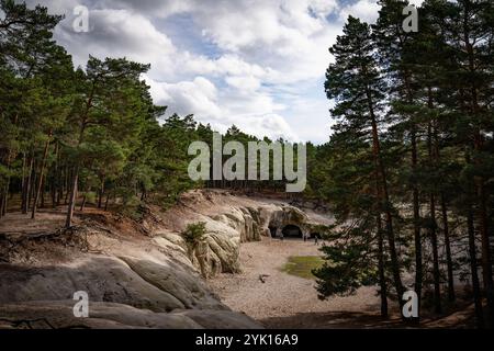 Blankenburg, Deutschland. Oktober 2024. Blick auf die Sandsteinhöhlen im Waldgebiert Heers bei Blankenburg. Quelle: Hauke Schröder/dpa/Alamy Live News Stockfoto