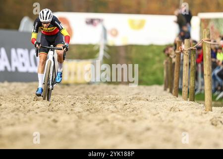 Merksplas, Belgien. November 2024. Die belgische Sanne Cant wurde während des Damenrennens der Superprestige Merksplas Cyclocross-Veranstaltung, der vierten Etappe (4/8) des Superprestige Cyclocross-Radrennwettbewerbs, am Samstag, den 16. November 2024 in Merksplas, in Aktion gezeigt. BELGA FOTO DAVID PINTENS Credit: Belga News Agency/Alamy Live News Stockfoto