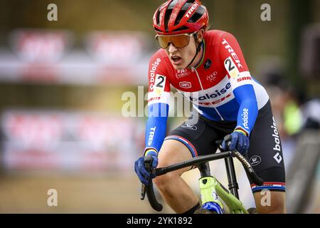 Merksplas, Belgien. November 2024. Die niederländische Lucinda Brand wurde während des Damenrennens der Superprestige Merksplas Cyclocross-Veranstaltung, der vierten Stufe (4/8) des Superprestige Cyclocross-Wettkampfes, am Samstag, den 16. November 2024, in Merksplas gezeigt. BELGA FOTO DAVID PINTENS Credit: Belga News Agency/Alamy Live News Stockfoto