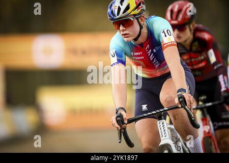 Merksplas, Belgien. November 2024. Die britische Zoe Backstedt wurde während des Damenrennens des Superprestige Merksplas Cyclocross-Events, der vierten Etappe (4/8) des Superprestige Cyclocross-Radrennwettbewerbs, am Samstag, den 16. November 2024 in Merksplas im Einsatz gezeigt. BELGA FOTO DAVID PINTENS Credit: Belga News Agency/Alamy Live News Stockfoto