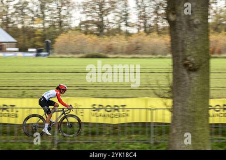 Merksplas, Belgien. November 2024. Die Luxemburgerin Marie Schreiber wurde während des Damenrennens des Superprestige Merksplas Cyclocross Events, 4/8, des Superprestige Cyclocross-Wettbewerbs, am Samstag, den 16. November 2024, in Merksplas gezeigt. BELGA FOTO DAVID PINTENS Credit: Belga News Agency/Alamy Live News Stockfoto