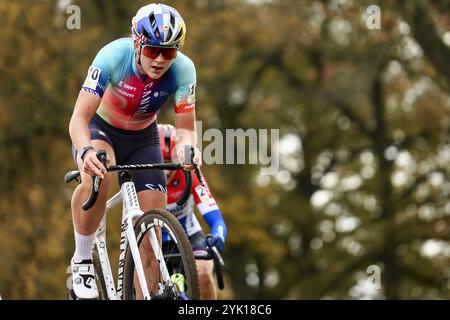 Merksplas, Belgien. November 2024. Die britische Zoe Backstedt wurde während des Damenrennens des Superprestige Merksplas Cyclocross-Events, der vierten Etappe (4/8) des Superprestige Cyclocross-Radrennwettbewerbs, am Samstag, den 16. November 2024 in Merksplas im Einsatz gezeigt. BELGA FOTO DAVID PINTENS Credit: Belga News Agency/Alamy Live News Stockfoto