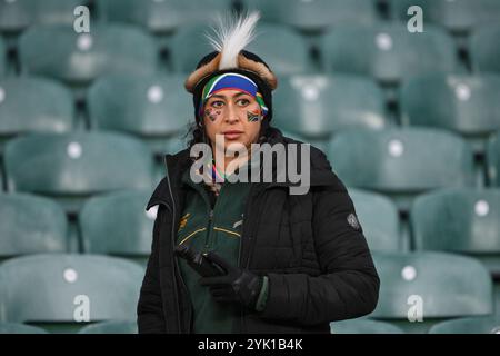 Südafrika-Fan während des Autumn Nations Series-Spiels England gegen Südafrika im Allianz Stadium, Twickenham, Großbritannien, 16. November 2024 (Foto: Craig Thomas/News Images) Stockfoto