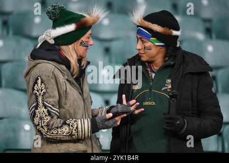 Südafrika-Fan während des Autumn Nations Series-Spiels England gegen Südafrika im Allianz Stadium, Twickenham, Großbritannien, 16. November 2024 (Foto: Craig Thomas/News Images) Stockfoto