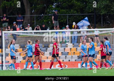 Sydney, Australien. November 2024. Die Spieler schütteln sich nach dem RD3-Spiel der A-League Women zwischen Sydney FC und den Wanderers am 16. November 2024 in Sydney, Australien Credit: IOIO IMAGES/Alamy Live News Stockfoto