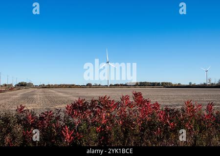 Ackerland und Windturbinen in Tilbury, Ontario, Kanada Stockfoto