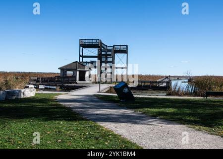 Marsh Board Walk Aussichtsplattform am Point Pelee National Park in Leamington, Ontario, Kanada Stockfoto