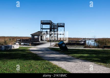 Marsh Board Walk Aussichtsplattform am Point Pelee National Park in Leamington, Ontario, Kanada Stockfoto