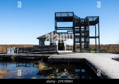 Marsh Board Walk Aussichtsplattform am Point Pelee National Park in Leamington, Ontario, Kanada Stockfoto