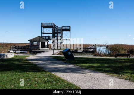 Marsh Board Walk Aussichtsplattform am Point Pelee National Park in Leamington, Ontario, Kanada Stockfoto