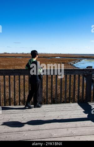 Marsh Board Walk Aussichtsplattform am Point Pelee National Park in Leamington, Ontario, Kanada Stockfoto