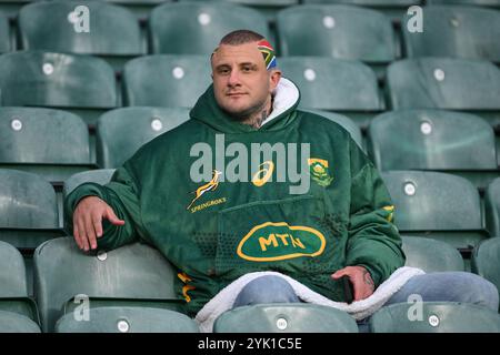 Südafrika-Fan beim Spiel England gegen Südafrika im Allianz Stadium, Twickenham, Vereinigtes Königreich. November 2024. (Foto: Craig Thomas/News Images) in Twickenham, Großbritannien am 16.11.2024. (Foto: Craig Thomas/News Images/SIPA USA) Credit: SIPA USA/Alamy Live News Stockfoto