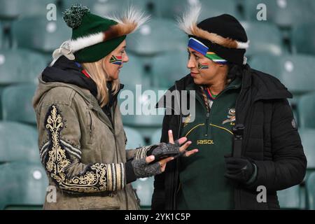 Südafrika-Fan beim Spiel England gegen Südafrika im Allianz Stadium, Twickenham, Vereinigtes Königreich. November 2024. (Foto: Craig Thomas/News Images) in Twickenham, Großbritannien am 16.11.2024. (Foto: Craig Thomas/News Images/SIPA USA) Credit: SIPA USA/Alamy Live News Stockfoto