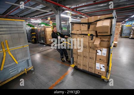 Das Industriegebiet MARK 51Â7 auf dem ehemaligen Opelwerk-Gelände in Bochum. 11.11.2024, EU, DEU, Deutschland, Nordrhein-Westfalen, Bochum: Strukturwandel im Ruhrgebiet. Das Industriegebiet MARK 51Â7 auf dem ehemaligen Opel-GeländeDas Opel-Werk war am 04.12.2014 geschlossen und danach abgerissen. Auf dem rückgebauten Gelände wurde u.a. eines der größten DHL Paketzentren Deutschlands errichtet und im November 2019 eröffnet. An den LKW-Entlademodulen werden die LkwÂ s im Dreischichtbetrieb entladen und die Pakete auf Flissbänder gepackt. EU, DEU, Deutschland, Nordrhein-Westfalen, Bochum: Struct Stockfoto