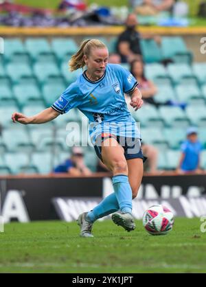 Lilyfield, Australien. November 2024. Jordan Thompson vom Sydney FC wurde während des dritten Spiels der A-League 2024/25 zwischen Sydney FC und Western Sydney Wanderers FC im Leichhardt Oval in Aktion genommen. Endstand Sydney FC 1:0 Western Sydney Wanderers. (Foto: Luis Veniegra/SOPA Images/SIPA USA) Credit: SIPA USA/Alamy Live News Stockfoto