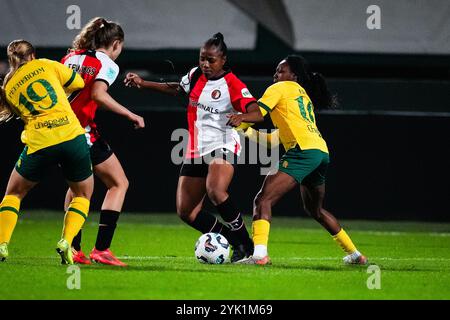 Sittard - Celainy Obispo von Feyenoord Rotterdam während der siebten Runde der Azerion Vrouwen Eredivisie in der Saison 2024/2025. Das Spiel findet am 16. November 2024 im Fortuna Sittard Stadion in Sittard, Niederlande, statt. (VK Sportphoto/Danny de Groot) Stockfoto