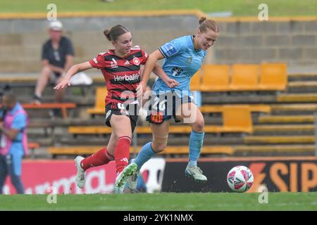 Lilyfield, New South Wales, Australien. November 2024. AMY CHESSARI (L), Mittelfeldspielerin der Western Sydney Wanderers und MADELEINE HELENA HENDRIKS CASPERS (R) vom Sydney FC, streitet während des Spiels in der 3. Runde der A-League 2024/25 um einen losen Ball. Sydney FC gewann 1:0 gegen Western Sydney Wanderers. (Kreditbild: © Luis Veniegra/ZUMA Press Wire) NUR REDAKTIONELLE VERWENDUNG! Nicht für kommerzielle ZWECKE! Stockfoto