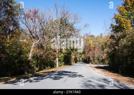 Herbstfarben auf dem Point Pelee Drive in Leamington, Ontario, Kanada Stockfoto