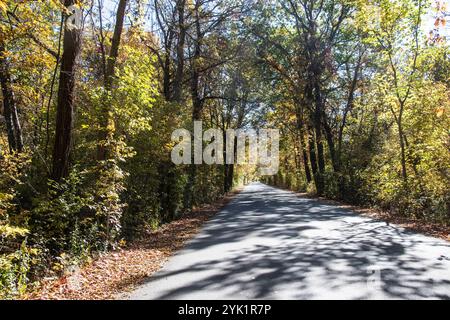 Herbstfarben auf dem Point Pelee Drive in Leamington, Ontario, Kanada Stockfoto