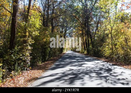 Herbstfarben auf dem Point Pelee Drive in Leamington, Ontario, Kanada Stockfoto