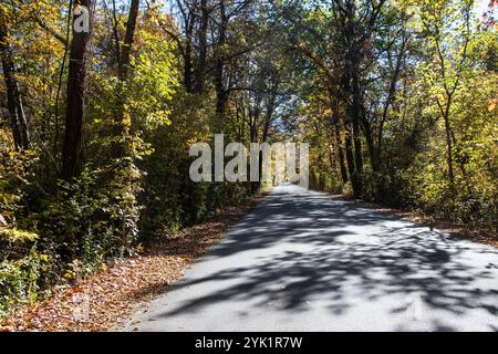 Herbstfarben auf dem Point Pelee Drive in Leamington, Ontario, Kanada Stockfoto
