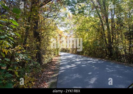 Herbstfarben auf dem Point Pelee Drive in Leamington, Ontario, Kanada Stockfoto