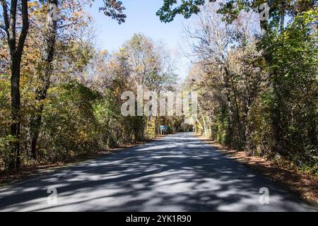 Herbstfarben auf dem Point Pelee Drive in Leamington, Ontario, Kanada Stockfoto
