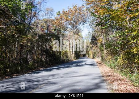Herbstfarben auf dem Point Pelee Drive in Leamington, Ontario, Kanada Stockfoto