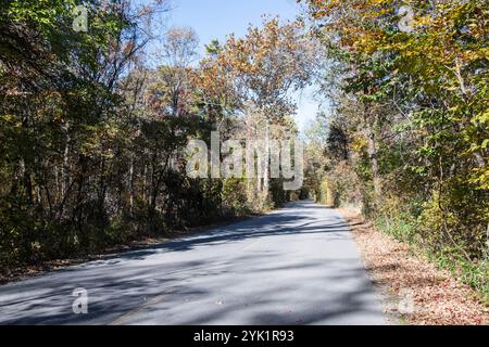 Herbstfarben auf dem Point Pelee Drive in Leamington, Ontario, Kanada Stockfoto