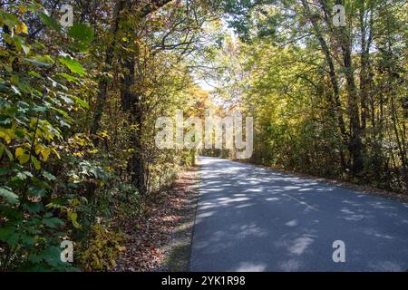 Herbstfarben auf dem Point Pelee Drive in Leamington, Ontario, Kanada Stockfoto