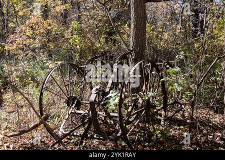 Klassische Pferdezuchtausrüstung im Delaurier Homestead im Point Pelee National Park in Leamington, Ontario, Kanada Stockfoto