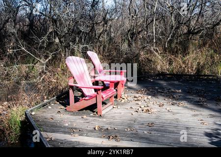 Red Adirondack Stühle auf der Promenade im Delaurier Homestead im Point Pelee National Park in Leamington, Ontario, Kanada Stockfoto