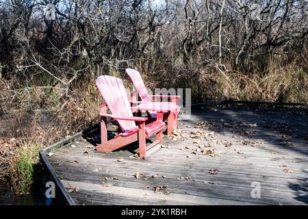 Red Adirondack Stühle auf der Promenade im Delaurier Homestead im Point Pelee National Park in Leamington, Ontario, Kanada Stockfoto